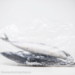 Frozen Mackerel (Titus) Fish