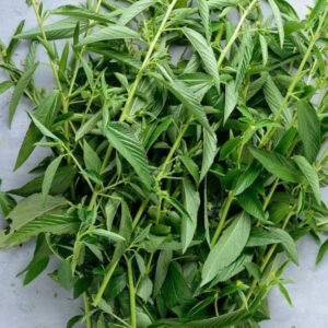 Jute Leaves