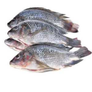 Bagged Salted Pollock Fish 284g